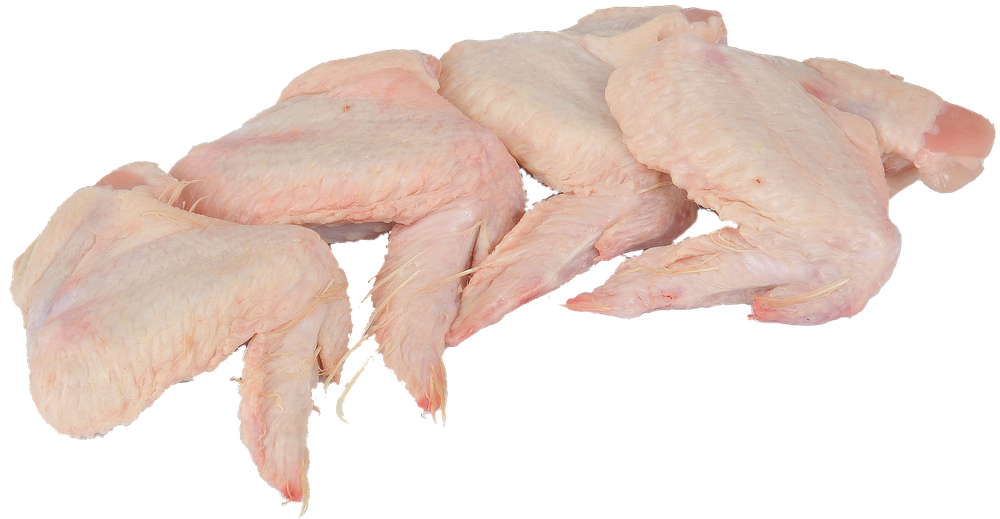Alette Pollo - Foto 1