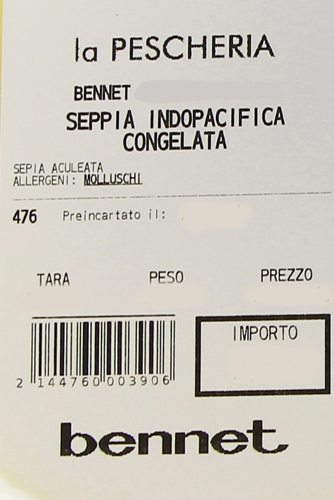 Seppia Indopacifico Decongelata - Foto 3