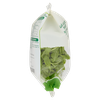 RUCOLA BIO BENNET G100 - Foto 2 di 3