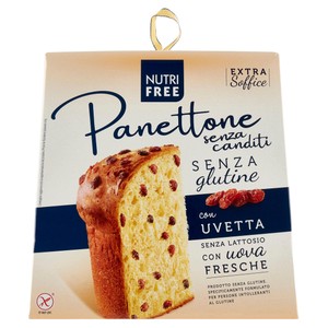 Panettone Senza Canditi Nutifree