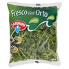 RUCOLA CARNINI - Foto 1 di 3