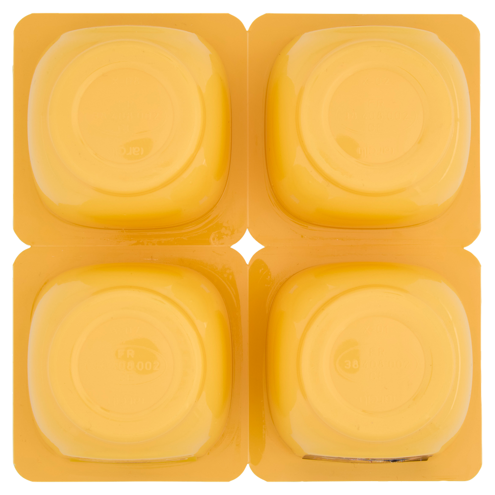 Budino Crema Dessert Vaniglia 4x125g Danette - Foto 3