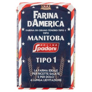 Farina Manitoba Tipo 1 Molino Spadoni - Foto 1