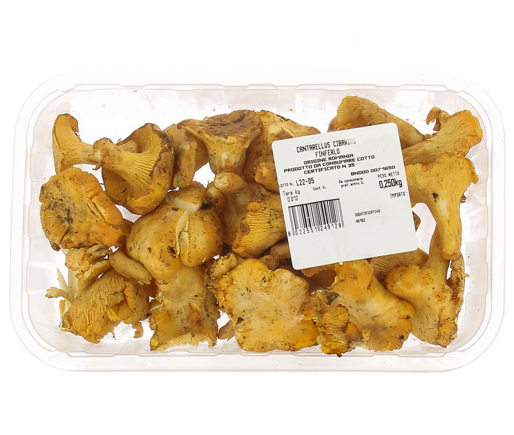 Funghi Finferli In Vassoio - Foto 1