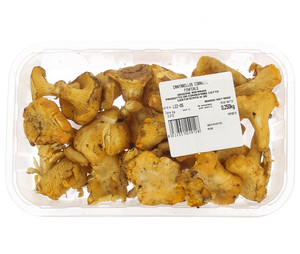 Funghi Finferli In Vassoio - Foto 1