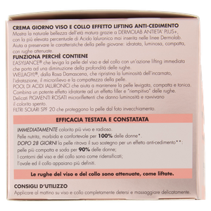 Crema Viso Pelli Mature Giorno Dermolab - Foto 2