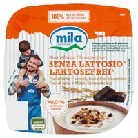 Senza Lattosio* Mix Cremoso Yogurt Intero,preparazione Dolciaria,cereali E  Biscotti Cioccolato 150 G -  