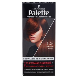 Colorazione Capelli Permanente 5-24 Marron Glace Palette - Foto 1
