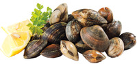 Vongole Veraci Vongole Veraci