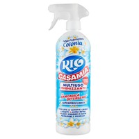 Detergente Multisuperficie Igienizzante Spray Con Ammoniaca Rio Casamia