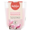 Candela Bicchiere Magnolia Bolsius