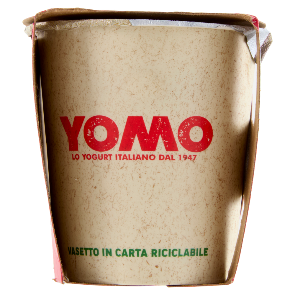 2 Yogurt Bianco Naturale Intero Yomo - Foto 2