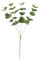 Foglia Verde