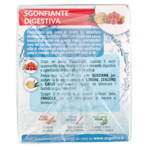 Tisana Fredda Sgonfiante Digestiva L'angelica, Conf. 18 Bustine - Foto 2