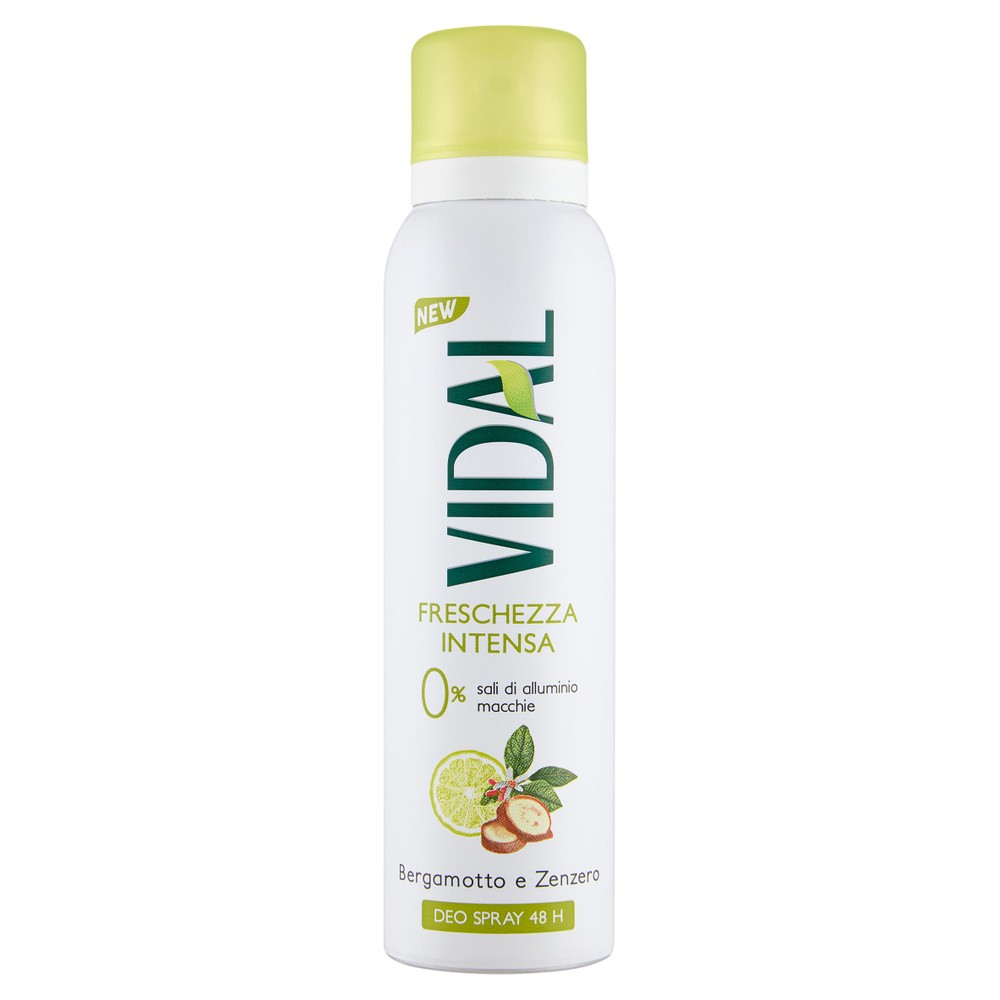 Deodorante Berg Zenzero Spray Vidal - Foto 1