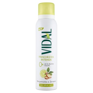 Deodorante Berg Zenzero Spray Vidal - Foto 1