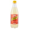 SCHWEPPES AGRUMI ML500 - Foto 1 di 3