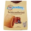 SETTEMBRINI M.B. - Foto 1 di 3
