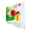 Milk Kefir Cremoso Lampone Melograno
