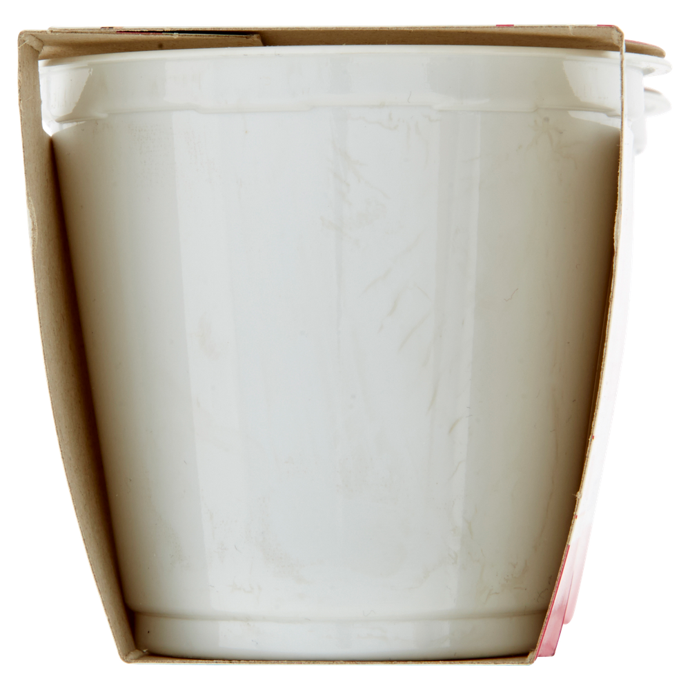 Yogurt Senza Lattosio Alla Fragola 2x125g Bennet Vivisì - Foto 2