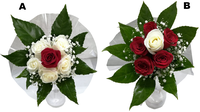 Bouquet 6 Rose Ecuador  Con Aralia E Gypsophila