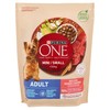 ONE MY DOG IS ADULT - Foto 1 di 3