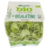 INS.VERDE BIO BENNET - Foto 1 di 3