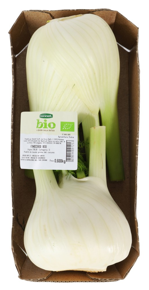 Finocchio Bennet Bio Vassoio - Foto 1