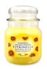 Giara Media Citronella