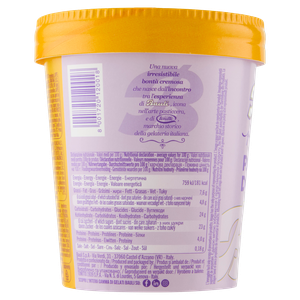 Gelato Pandoro Barattolo Carta Bauli - Foto 2