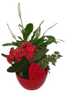 Composizione Ceramica In Vaso Diametro Cm 14 - Foto 1