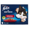 FELIX SEN.JEL.SAP.X12 - Foto 1 di 3