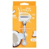 RASOIO VENUS COCCO 2UP