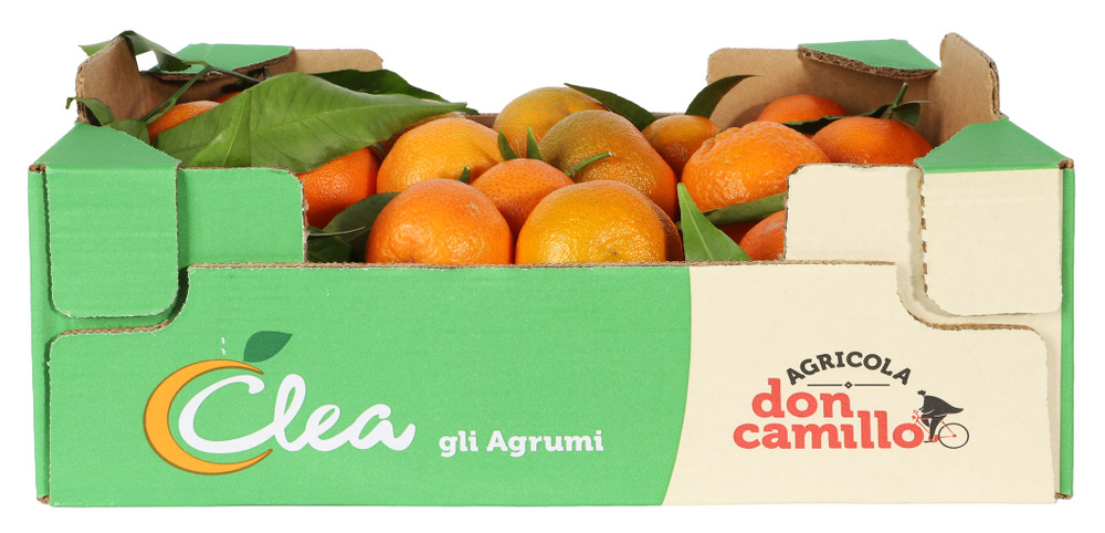 Clementine In Bauletto - Foto 2