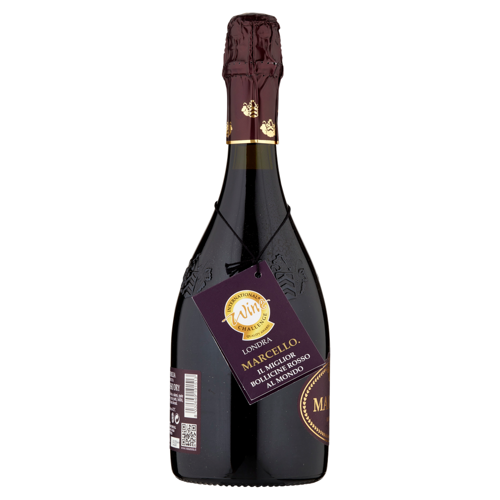 Lambrusco Dell' Emilia Vino Spumante Rosso Dry Marcello Ariola - Foto 2