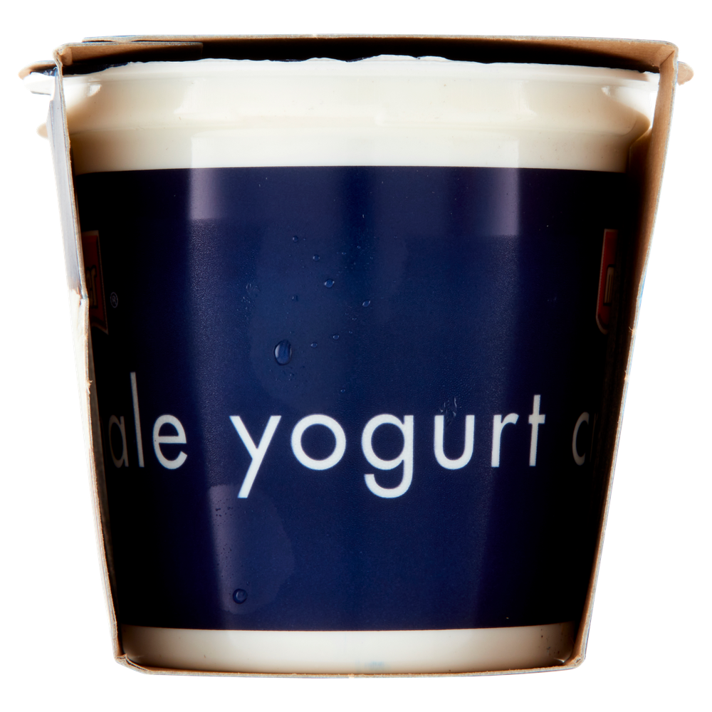 Yogurt Al Cocco 2x125 G. Muller