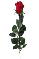 Bocciolo 1 Fiore Rosso