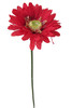 T2*GERBERA ROSSA - Foto 1 di 1