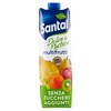 SANTAL S/ZUCC.MULTIFRU - Foto 1 di 3