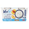 YOGURT VIVISÌ PESCAX2 - Foto 1 di 3