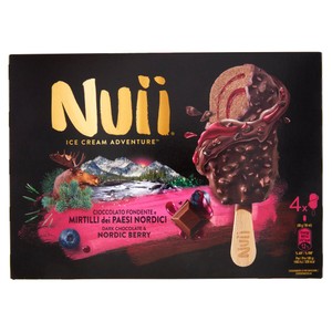 Gelato Nuii Cioccolato Fondente E Mirtilli - Foto 1