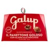 Panettone Galup