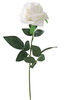 T2*ROSA BIANCA - Foto 1 di 1
