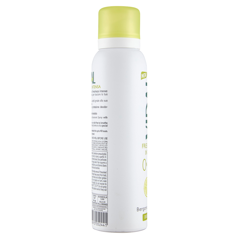 Deodorante Berg Zenzero Spray Vidal - Foto 2