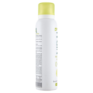 Deodorante Berg Zenzero Spray Vidal - Foto 2