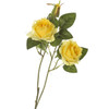 T2*ROSA RAMO GIALLO - Foto 1 di 1