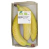 BANANE BENNET BIO VAS