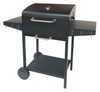 Barbecue A Carbonella America In Acciaio