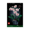 ORCHIDEA - Foto 1 di 2