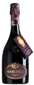 Lambrusco Dell' Emilia Vino Spumante Rosso Dry Marcello Ariola - Foto 1
